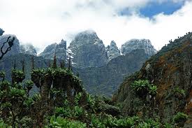 ruwenzori3.jpg